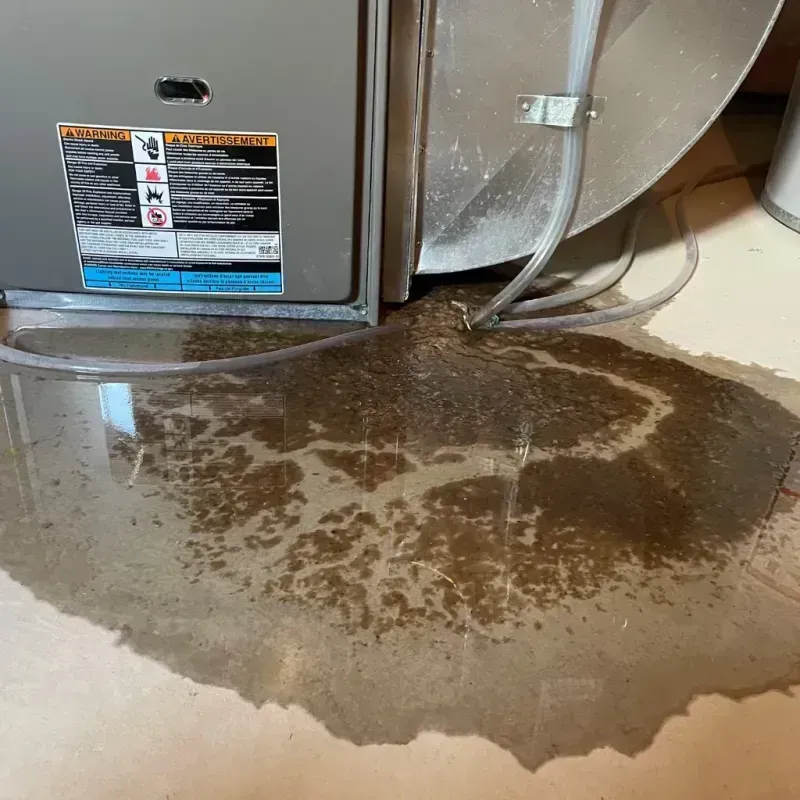 Appliance Leak Cleanup in Edna, TX